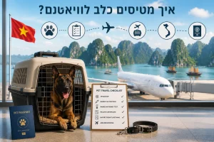 איך מטיסים כלב לוייטנאם